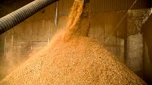 Animal feed ingredients grain and wheat storage UK — Codex CAC/GL 80 compliance