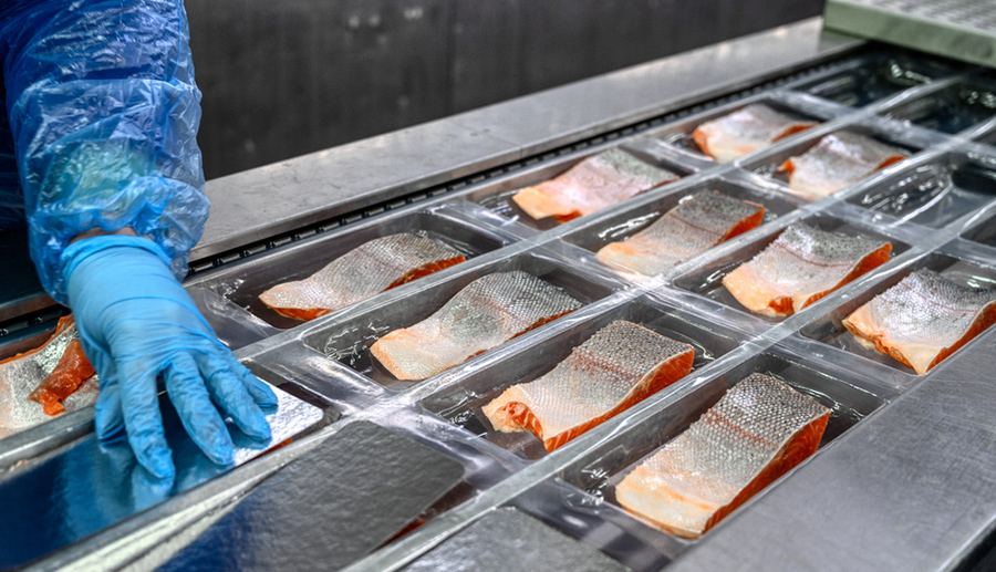 Fish and seafood processing production line UK — BRC food safety management